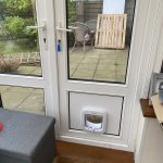 Infill with catflap IW
